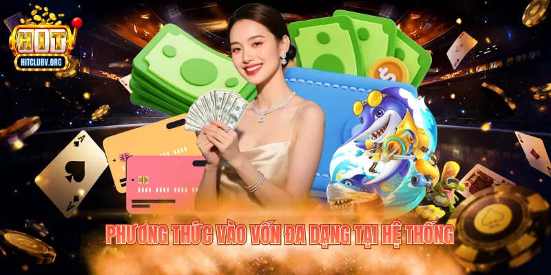 Phương thức vào vốn đa dạng tại hệ thống